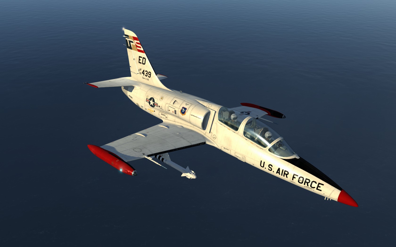 L 39 USAF.jpg