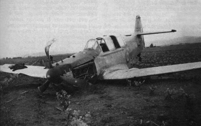 Alberca95.jpg