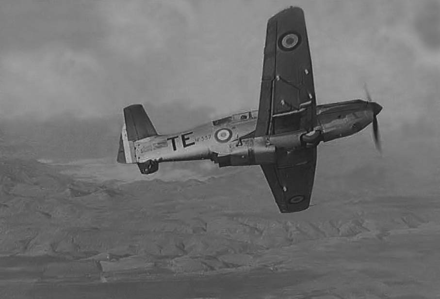 BigMorane475Vanneau2.jpg