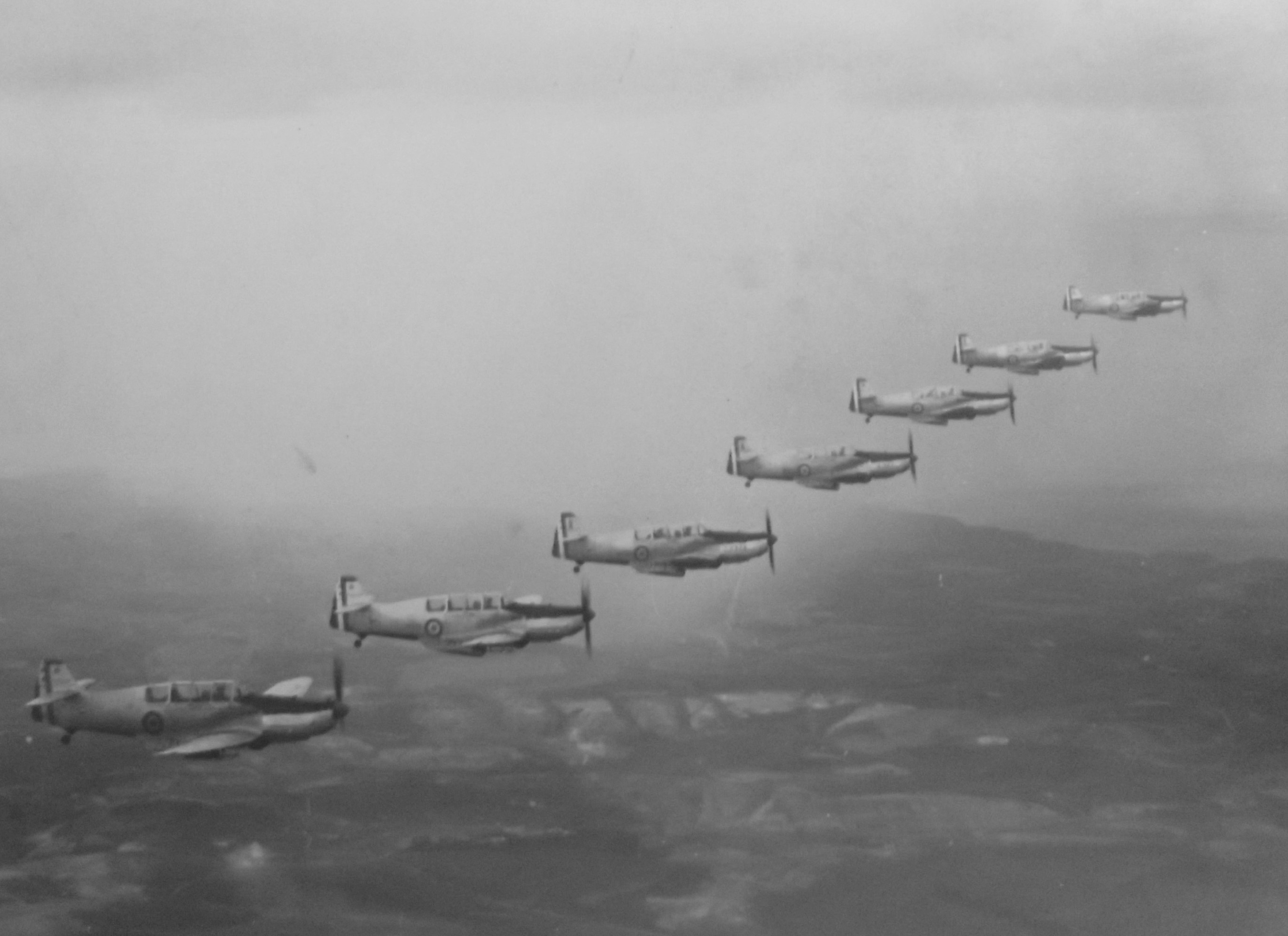 DSCF8960.JPG