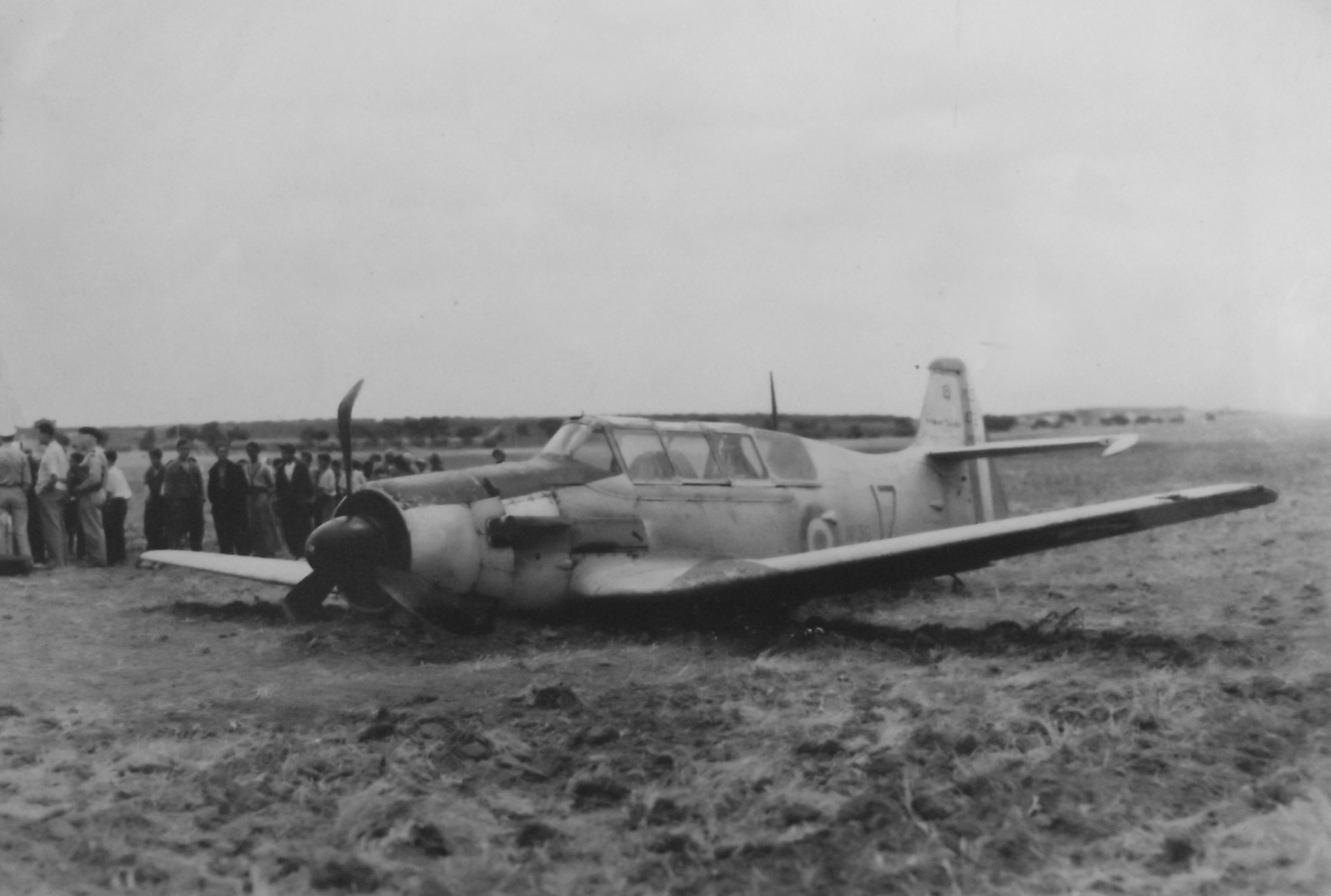 DSCF8965.JPG