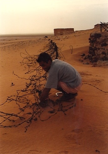 Niger Vols Taoudenni29.jpg