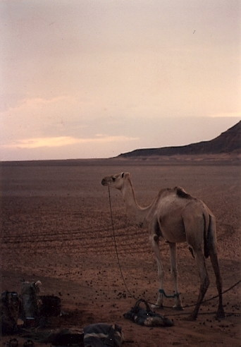 Niger Vols Taoudenni39.jpg