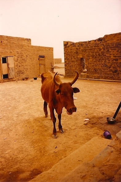 Niger Vols IGN09.jpg